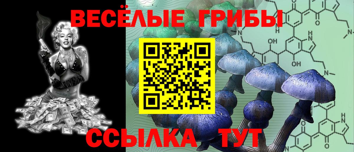 Псилоцибиновые грибы GOLDEN TEACHER  Галлюциногенные грибы Psilocybe  Конаково  Вход с VPN 